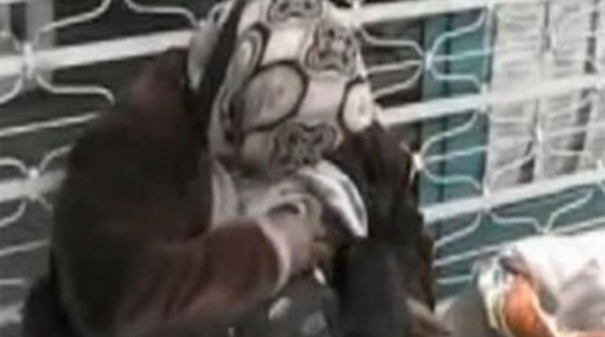 Hayvanseverlikte son nokta!..