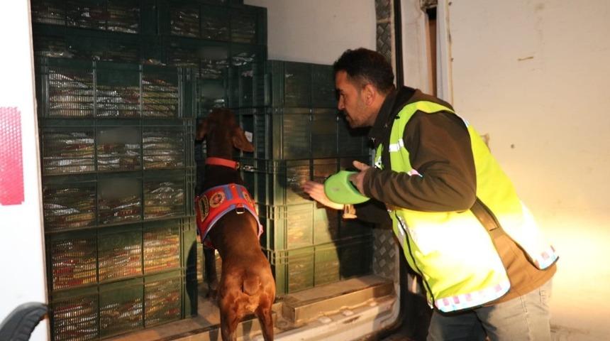 Adıyaman’da jandarmadan uyuşturucu operasyonu