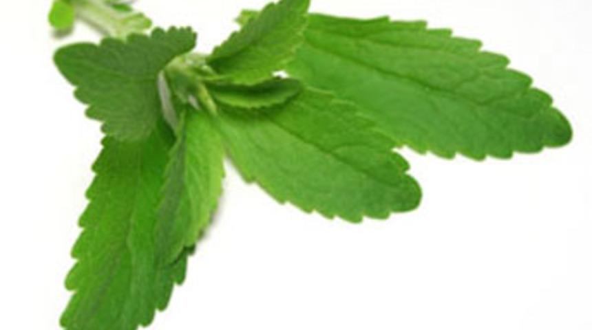 T&uuml;rkiye'deki şeker hastalarına m&uuml;jde