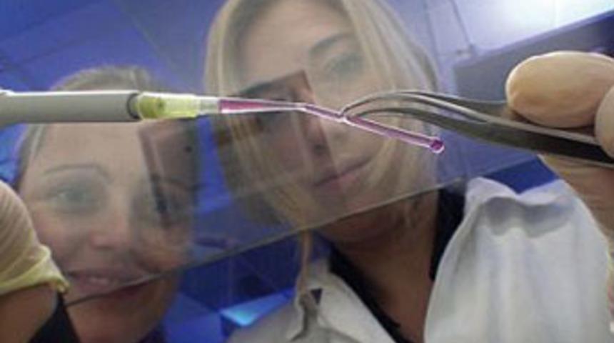 3D yazıcılardan yapay kılcal damar