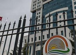 Hayvan pazarı  ve yapay et üretimi iddiaları yalanlandı! Tarım ve Orman Bakanlığı'ndan açıklama