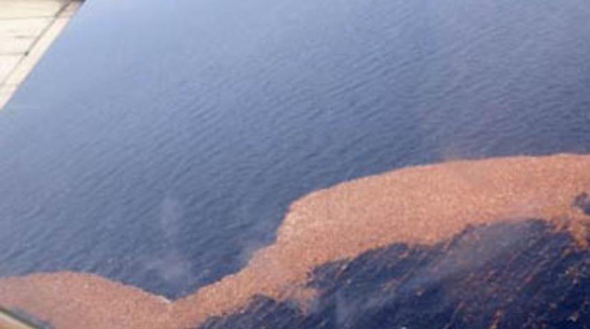 Amerika'yı korkutan ada!