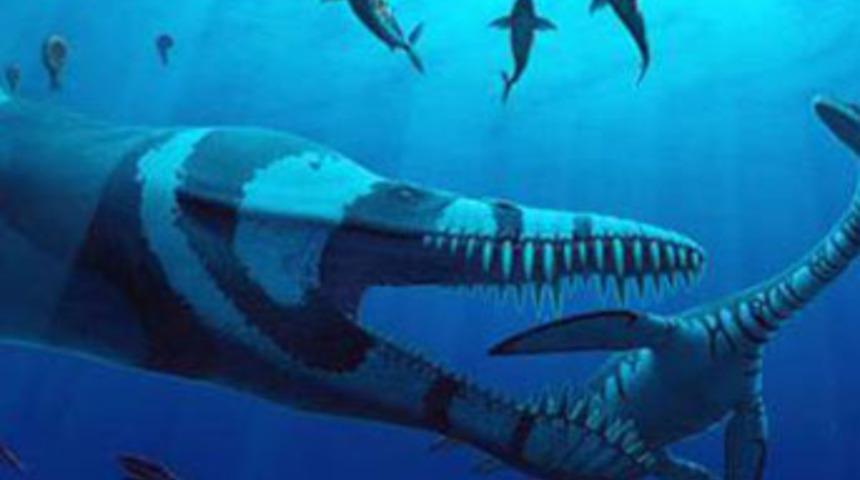 En büyük deniz canavarı!