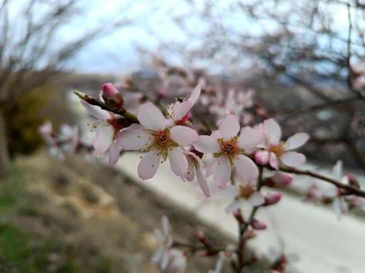 Bir ilçeyi tedirgin eden olay! O korkuyu yaşıyorlar 'İnşallah olmaz' G2