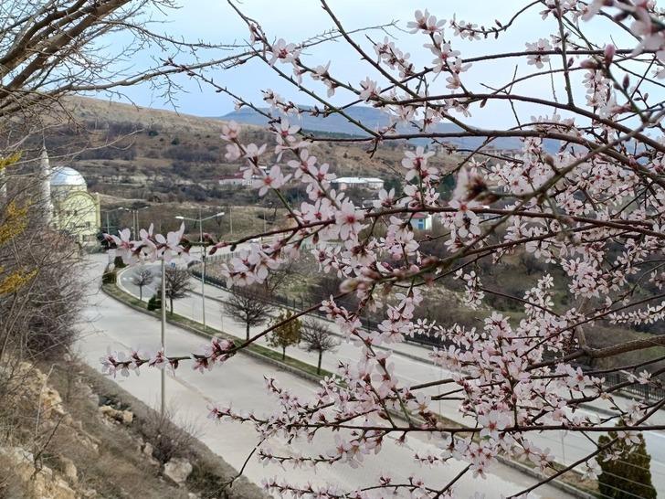Bir ilçeyi tedirgin eden olay! O korkuyu yaşıyorlar 'İnşallah olmaz' G4