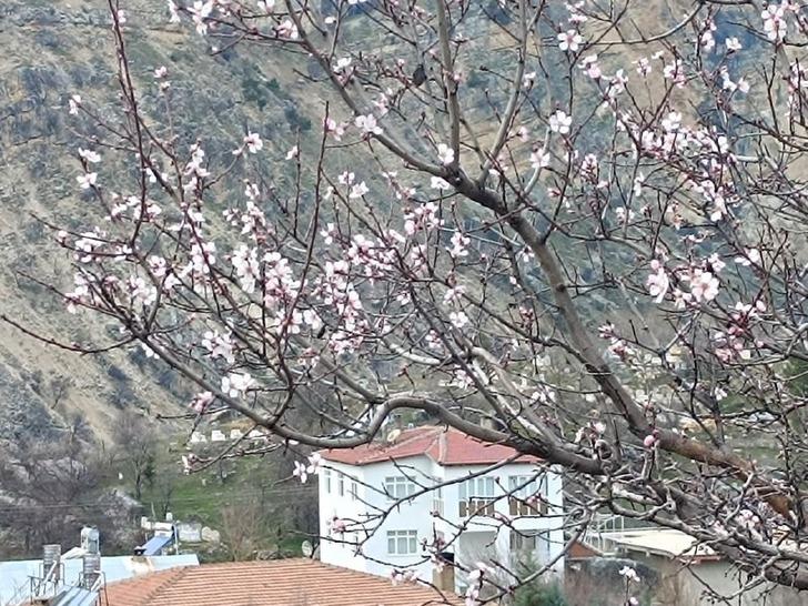 Bir ilçeyi tedirgin eden olay! O korkuyu yaşıyorlar 'İnşallah olmaz' G3