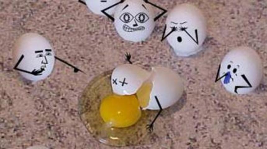 Çılgın yumurtalar iş başında!