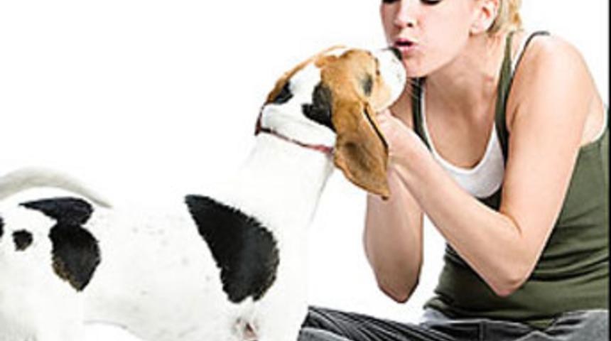 İran'da bir garip yasak teklifi