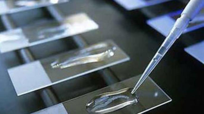 Umut verici haberi duyurdular: Kanser aşısı geliyor