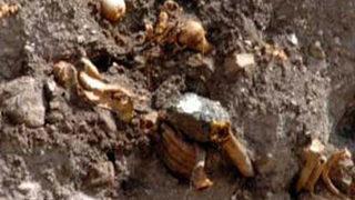 Temel kazısında şok!