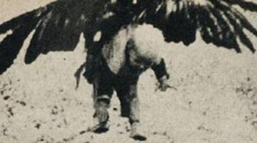 Kartal &ccedil;ocuğu b&ouml;yle ka&ccedil;ırdı