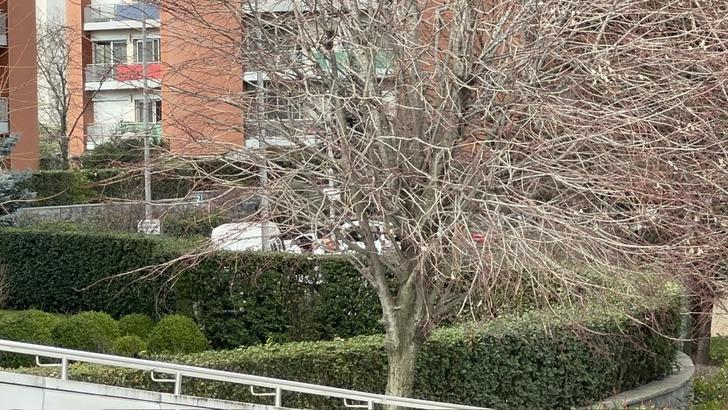 Yer: Ümraniye... Sitede vahşet! Dini nikahlı eşini ve iki kızını öldürdü G5