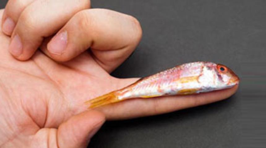 'Seninki kaç santim? kampanyası!