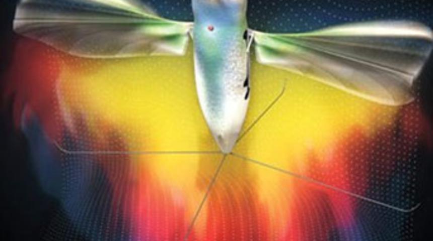 Robot sinekler cepheye çıkıyor