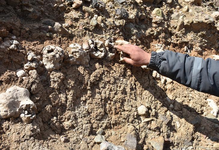 Niğde’yi heyecanlandıran ‘dinozor fosili’ iddiası! Ekipler gelip inceledi sonuç bakın ne çıktı…  G1