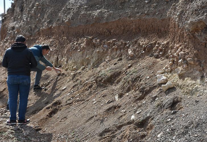 Niğde’yi heyecanlandıran ‘dinozor fosili’ iddiası! Ekipler gelip inceledi sonuç bakın ne çıktı…  G2