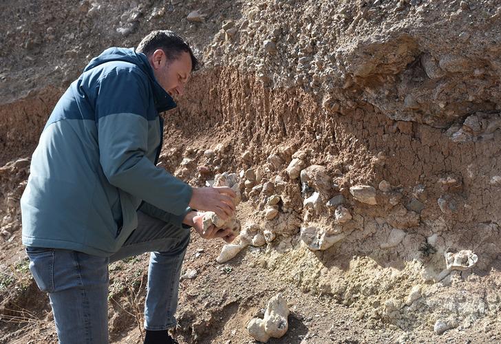 Niğde’yi heyecanlandıran ‘dinozor fosili’ iddiası! Ekipler gelip inceledi sonuç bakın ne çıktı…  G3