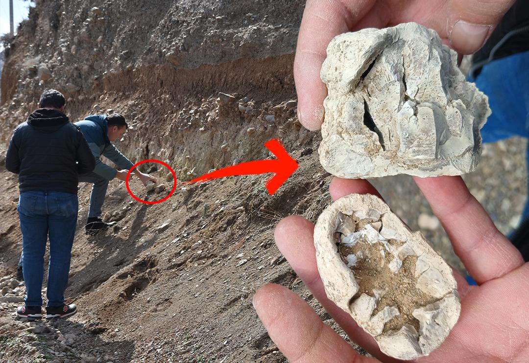 Niğde&rsquo;yi heyecanlandıran &lsquo;dinozor fosili&rsquo; iddiası! Ekipler gelip inceledi sonu&ccedil; bakın ne &ccedil;ıktı&hellip; 