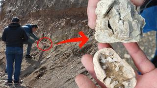 Niğde’yi heyecanlandıran ‘dinozor fosili’ iddiası! Ekipler gelip inceledi sonuç bakın ne çıktı… 