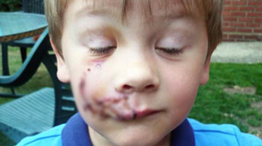 Sadık dost dehşeti