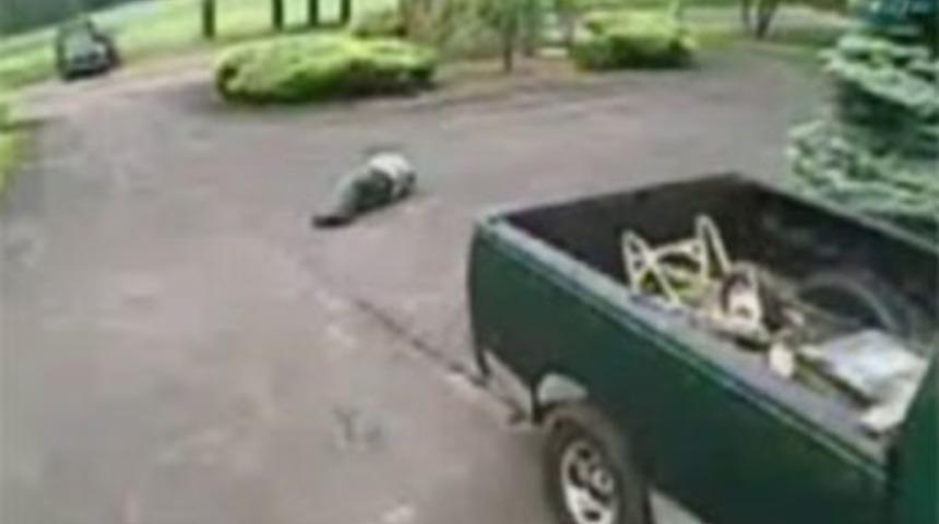 Şanssızlığın böylesi!