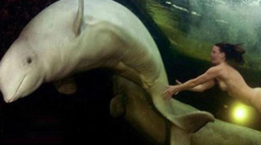 Rüya gibi, ama gerçek