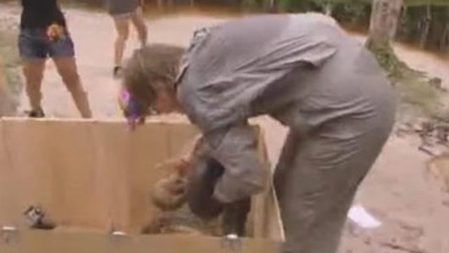 Yılan kadının kolunu yutuyordu