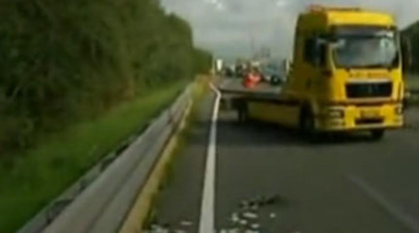 Paralar saçılınca böyle kapıştılar!