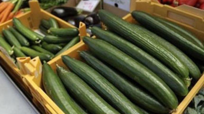 Öldüren salatalık alarmı