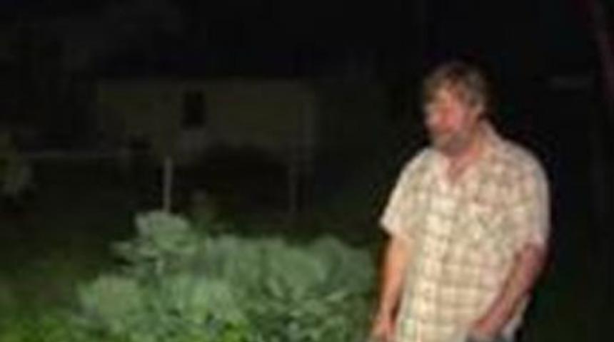 Brokoli toplarken 150 bin dolar buldu