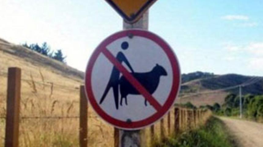 En ilgin&ccedil; trafik işaretleri