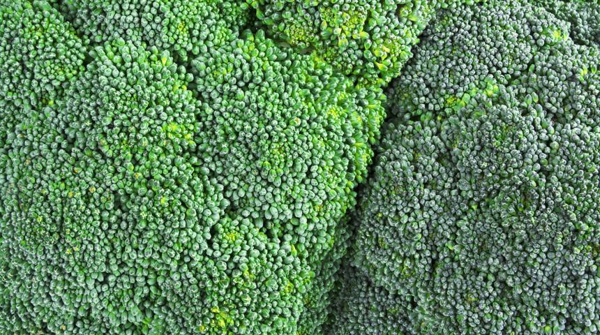 Brokolinin faydaları nelerdir? Brokoli hangi hastalıklara iyi gelir, en sağlıklı nasıl yenir?