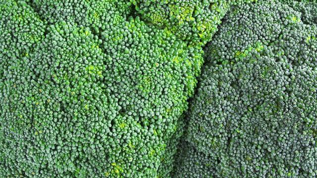 Brokolinin faydaları nelerdir? Brokoli hangi hastalıklara iyi gelir, en sağlıklı nasıl yenir?