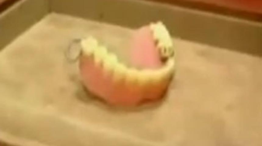 Japonların yeni gelir kapısı!