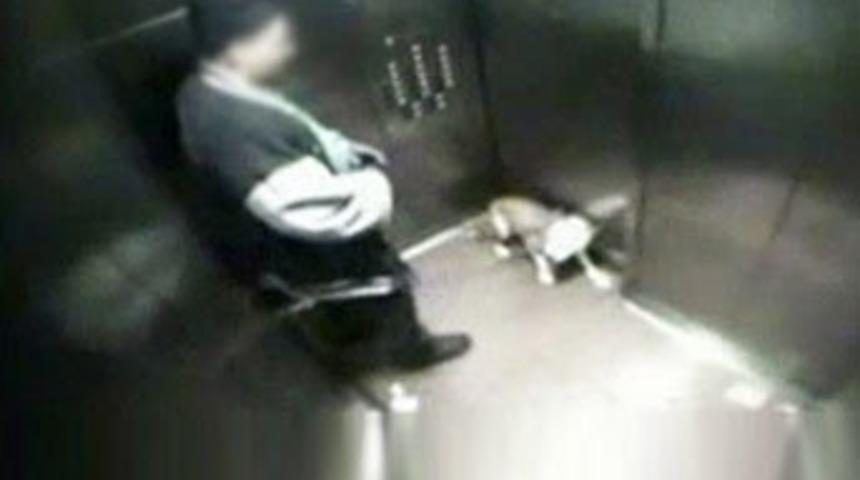 Asansörde büyük dehşet!