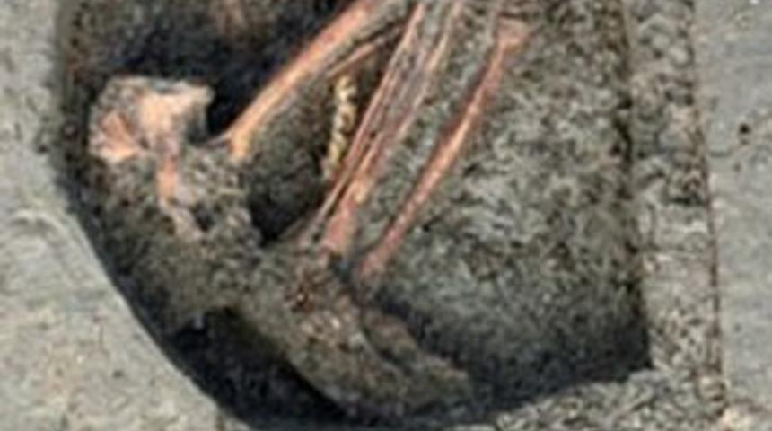 İşte İstanbul'un ilk sahipleri