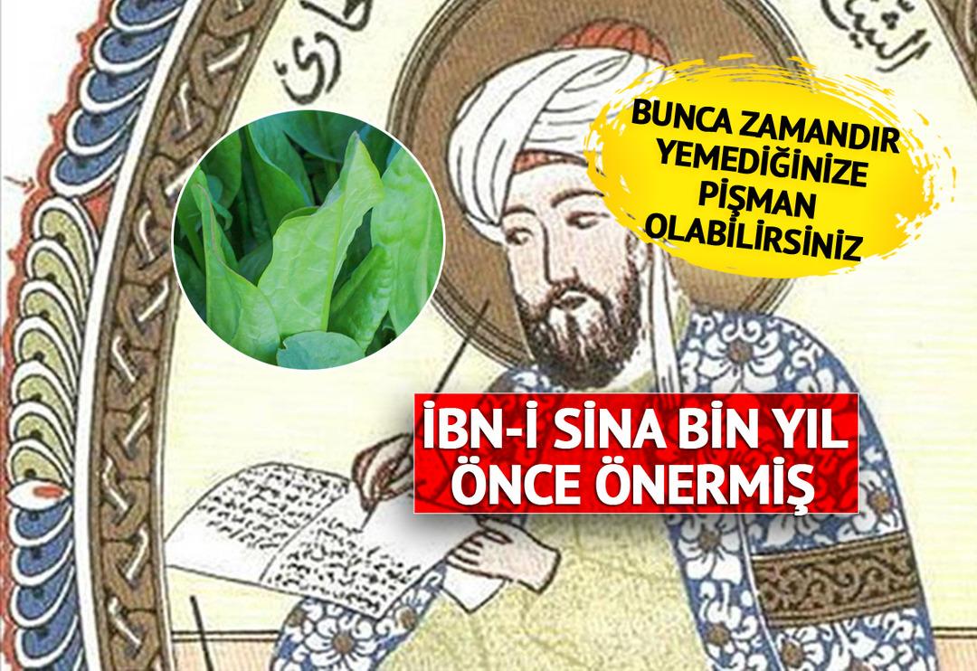 İbn-i Sina'nın re&ccedil;eteleri arasında saklıymış! Kalorisi yok denecek kadar az... Kilo vermeyi hızlandırıyor, beyni &ccedil;alıştırıyor