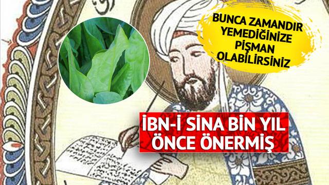İbn-i Sina'nın reçeteleri arasında saklıymış! Kalorisi yok denecek kadar az... Kilo vermeyi hızlandırıyor, beyni çalıştırıyor
