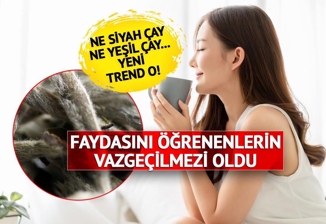 &Ccedil;inlilerin bu kadar &ccedil;ok i&ccedil;mesinin bir sebebi varmış! Yeni trend: Kilo vermeye &ccedil;alışanların vazge&ccedil;ilmezi! Sa&ccedil; d&ouml;k&uuml;lmesini durduruyor, kırışıklıkları yok ediyor