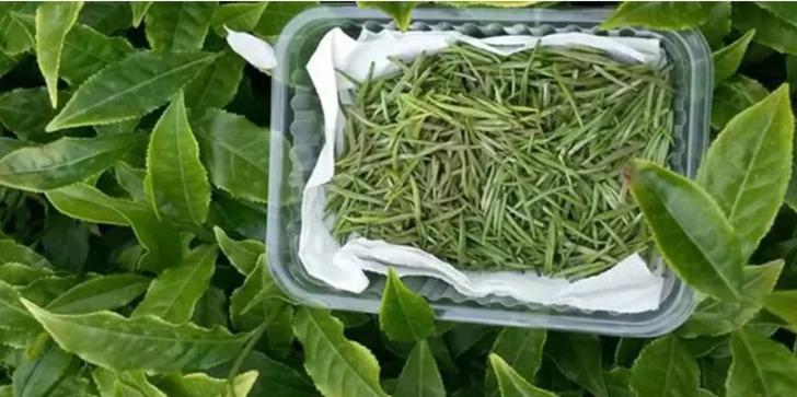 Çinlilerin bu kadar çok içmesinin bir sebebi varmış! Yeni trend: Kilo vermeye çalışanların vazgeçilmezi! Saç dökülmesini durduruyor, kırışıklıkları yok ediyor G3