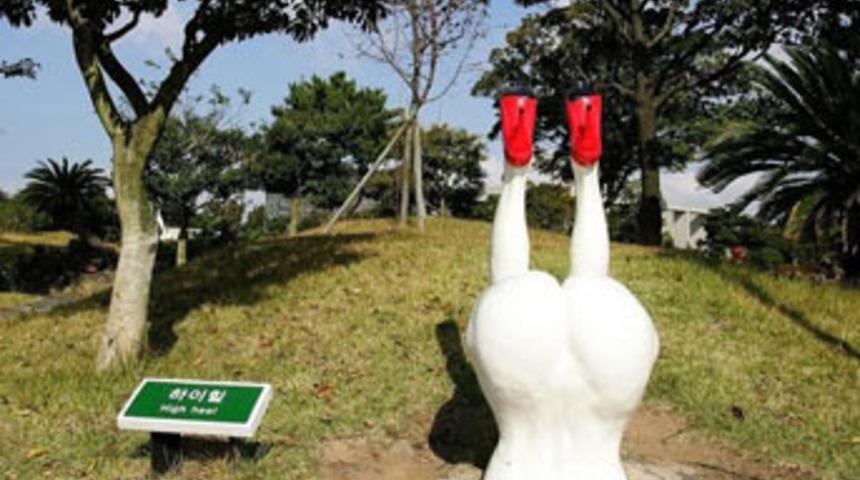 Kamu yararına 'seks parkı'