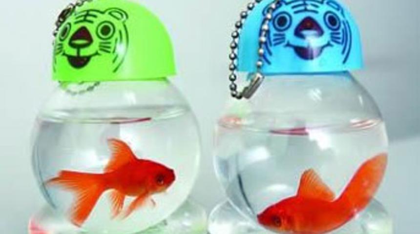 Hayvan zulm&uuml;nde son nokta