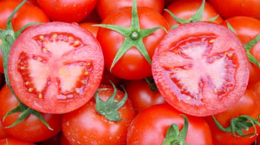 Domateslerde Hepatit A şoku!