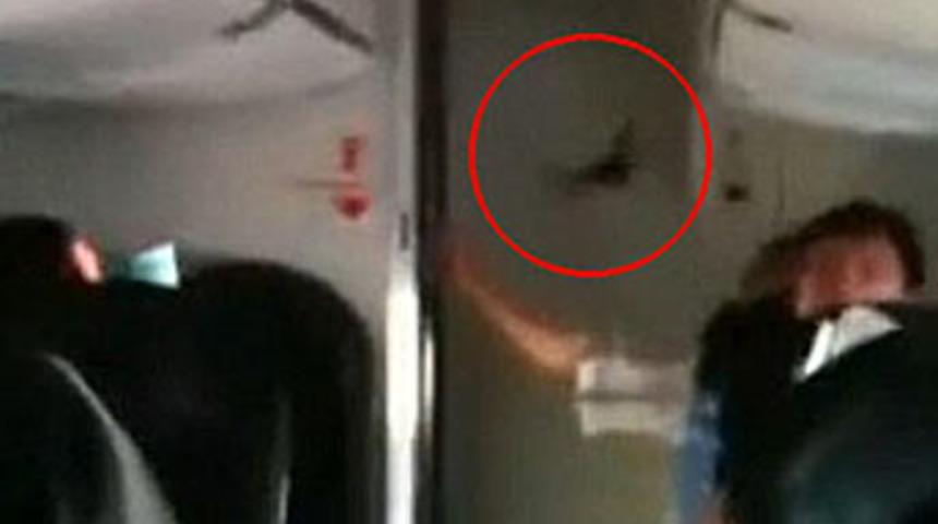 Kabindeki yarasa u&ccedil;ak indirdi