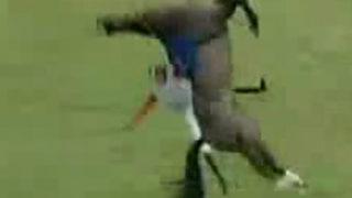 Attan rövaşata denemesi