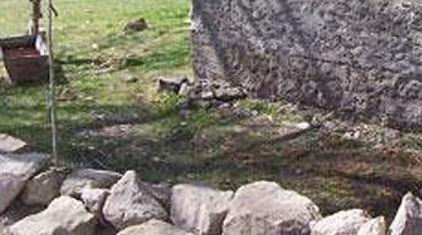 Çaldıkları ineği götüremeyince...