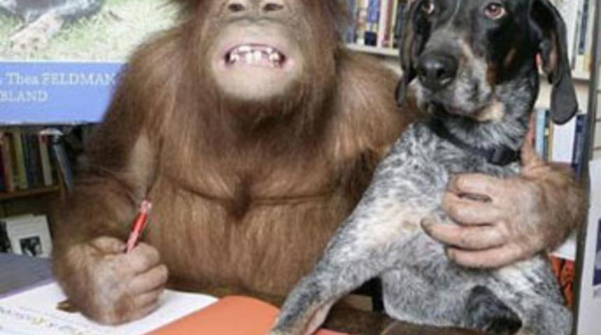 Kitaplarını imzaladılar