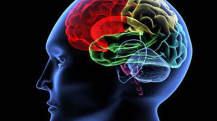 Akıldaki sözcükleri görüntülediler!