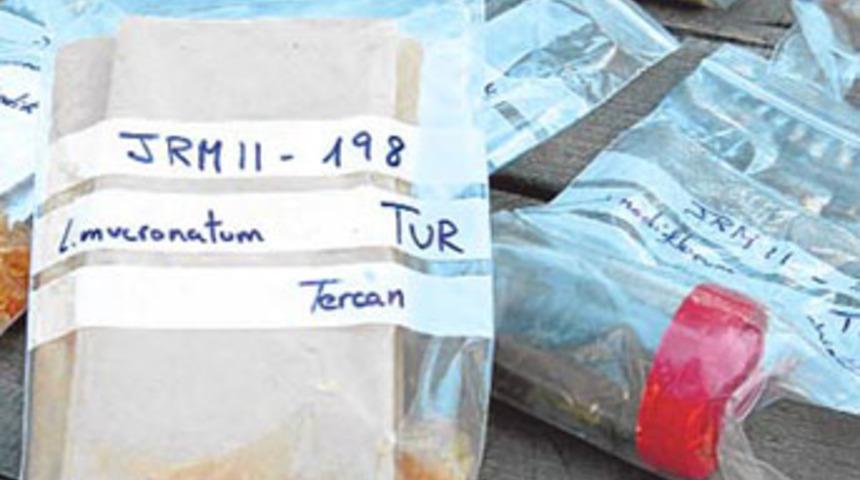 Bitki toplayan öğrencilere para cezası