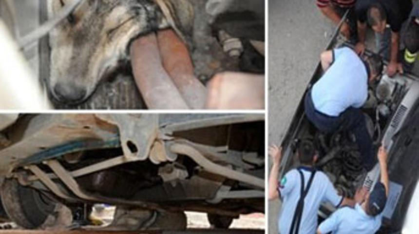 Herkes gözyaşları içinde izledi